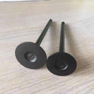 Mazda Engine Valve (We In)