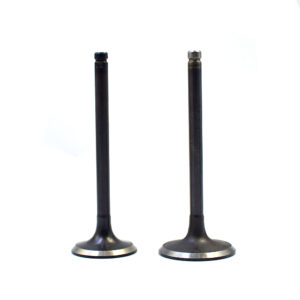 Nissan Engine Valve (Qd32  Ex)