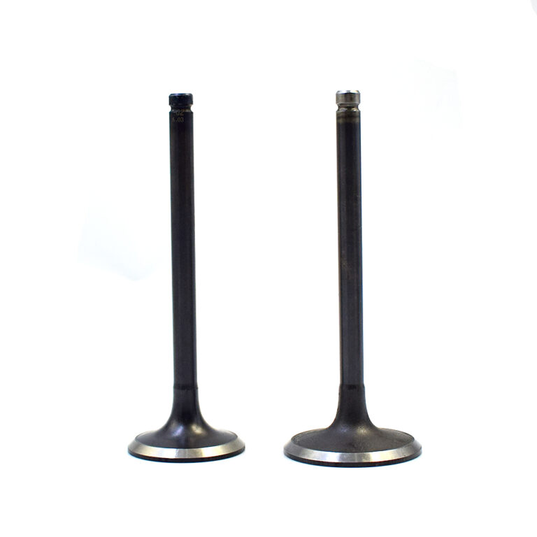 Nissan Engine Valve (Qd32  Ex)