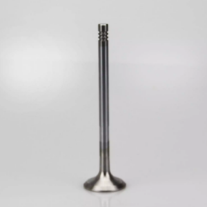 Toyota Shark/Pick Up Engine Valve (5l Ex)